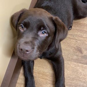 Meet your Posher, Bjorn